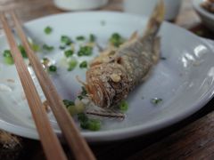-小河无名面馆