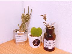 -流酥可心·牛乳蛋糕商店(禾祥西路店)