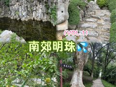 -菊花台公园