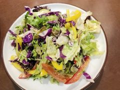 养生大拌菜-正阳春烤鸭店(杨楼店)