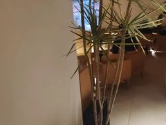 -tea’stone(新天地店)