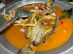 -昶丰臭桂鱼(唐延路T11店)