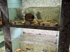 -甄御•海鲜新青岛菜(麦岛店)