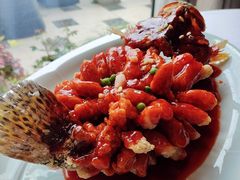 -香雪海饭店中餐厅(人民桥店)