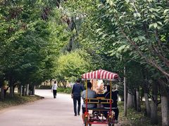 -长白岛森林公园