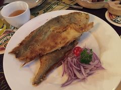 -马迭尔德式西餐精酿啤酒屋(中央大街店)