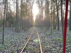 -合肥滨湖国家森林公园