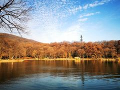 -紫霞湖公园
