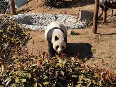 -青岛动物园