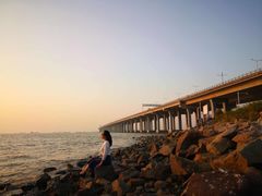 -宝安西湾红树林湿地公园