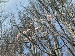 -长春公园(普阳街道)