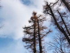 -北海道神宫