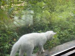 -北马山庄植趣咖啡
