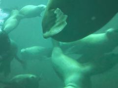 -珠海横琴国家地理探险家中心(创新方)