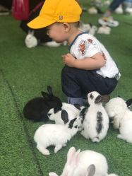 -萌宠亲子动物乐园(槐房万达店)