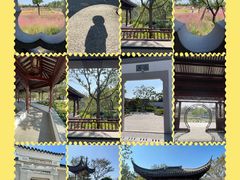 -上海滨江森林公园