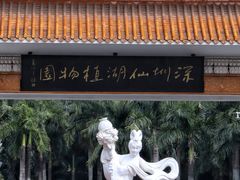 -深圳仙湖植物园