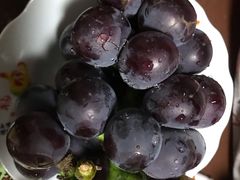 -德龙平价生活超市