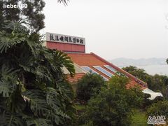 -鼓浪屿钢琴博物馆