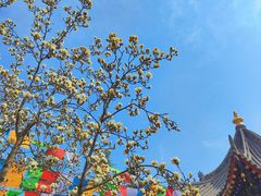 -西安市广仁寺