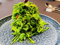 炝炒辣木苗-新荣记(椒江店)