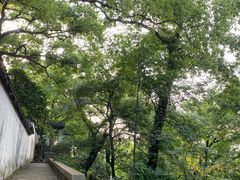 -九龙潭景区