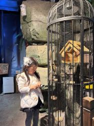 -酷嗒动物文化乐园(cutezoo西溪乐天城店)