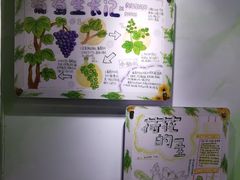 -上海昆虫博物馆