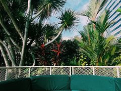 -新加坡瑞士史丹福酒店