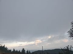 -长虫山生态公园风景林