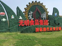 -上海都市菜园