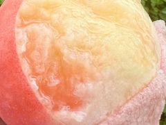 -老袁家蜜桃农场·阳山水蜜桃