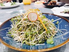 -望乡楼上海菜(日月光店)