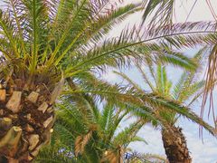 -Cafe Aewol Monsant
