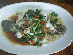 -顺德了能馆(虎门店)