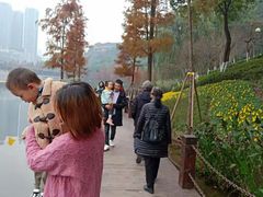-重庆彩云湖湿地公园