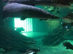 -华夏文旅海洋公园