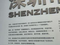 -深圳市当代艺术与城市规划馆