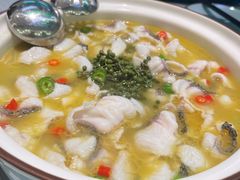 -青花椒花椒鱼(合生汇店)