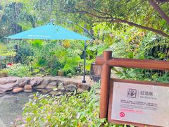 -厦门日月谷温泉渡假村