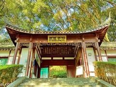 -上海佘山国家森林公园天马山园