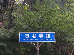 -灵谷景区