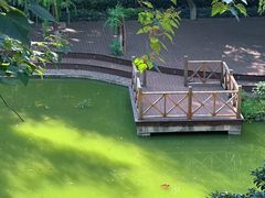 -湖北美术学院(昙华林校区)