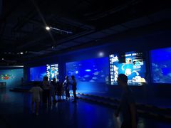 -重庆欢乐海底世界