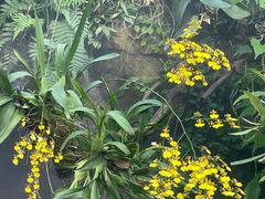 -东莞植物园