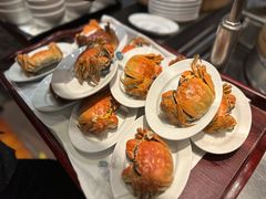 -广州富力君悦大酒店·凯菲厅