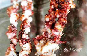 Long-legged Squid