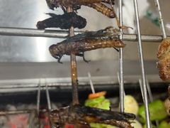 -小寒羊烧烤(凯瑞时代大厦店)