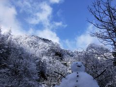 -光雾山旅游景区