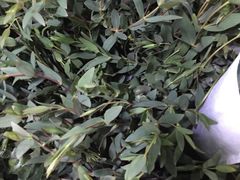 -循礼门鲜花花市(武汉循礼门店)